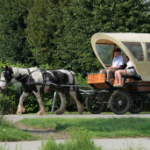 Huifkarcentrum Bergh